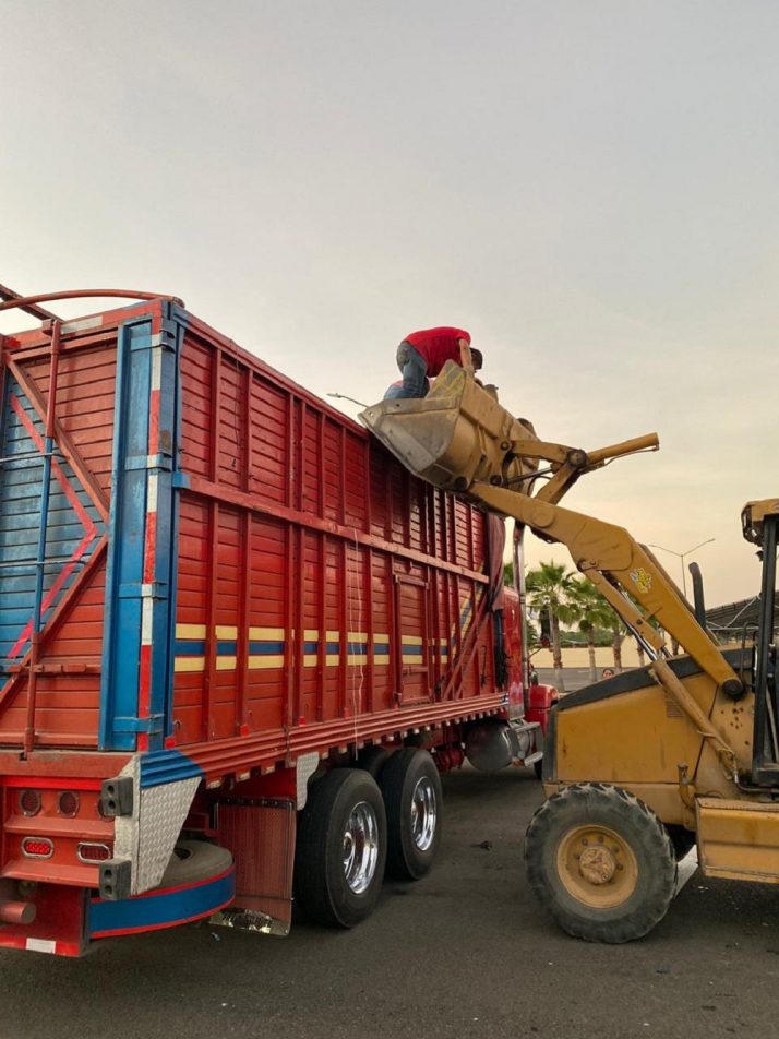 RECICLON 2019 (1)