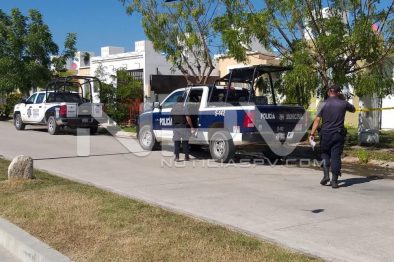 Seguridad Bahia de Banderas ·1850