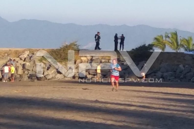 Seguridad Bahia de Banderas ·1891