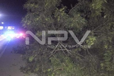 Seguridad Bahia de Banderas ·1959