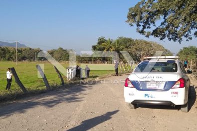 Seguridad Bahia de Banderas ·2944