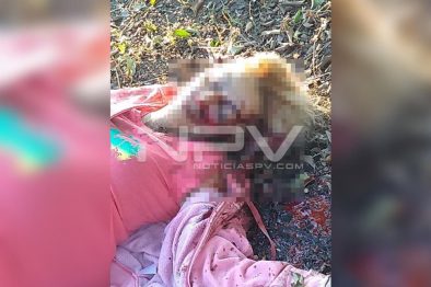 Seguridad Bahia de Banderas ·3506