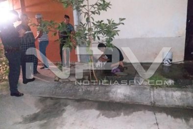 Seguridad Bahia de Banderas ·3688