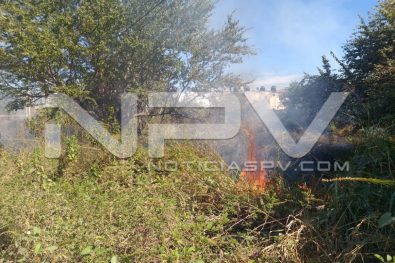 WhatsApp Image 2019-12-25 at 5.57.21 PM