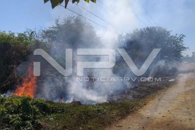 WhatsApp Image 2019-12-25 at 5.57.22 PM (5)