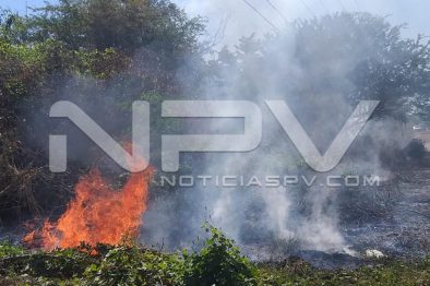 WhatsApp Image 2019-12-25 at 6.00.36 PM (2)