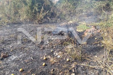 WhatsApp Image 2019-12-25 at 6.00.36 PM