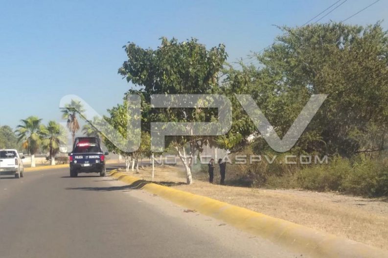 WhatsApp Image 2019-12-25 at 6.00.36 PM (5)