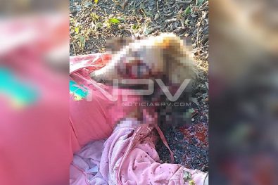 WhatsApp Image 2019-12-26 at 3.32.49 PM