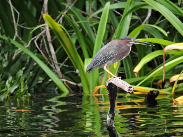 3489c86f-8528-4ef1-aa66-73faa3cb8792