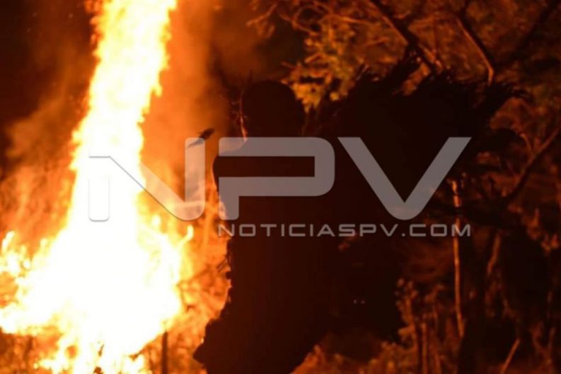SEGURIDAD2229
