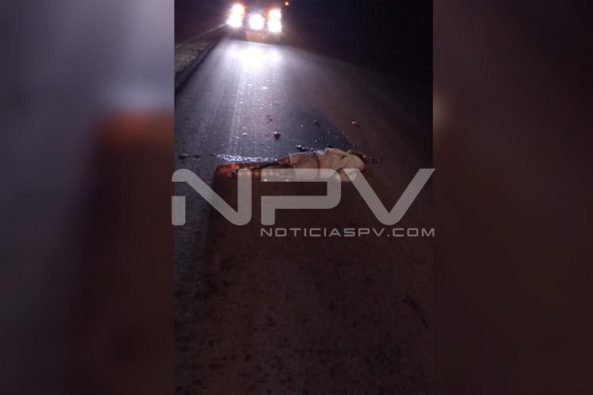 Seguridad Bahia de Banderas ·3996
