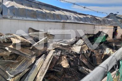 Seguridad Bahia de Banderas ·4265