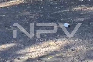 Seguridad Bahia de Banderas ·4449