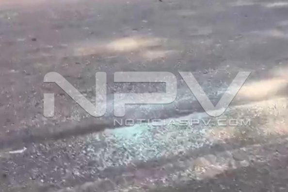 Seguridad Bahia de Banderas ·4454