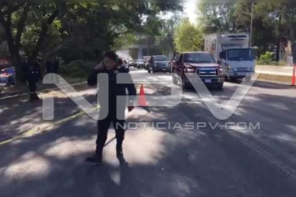 Seguridad Bahia de Banderas ·4463