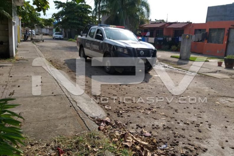Seguridad Bahia de Banderas ·4990