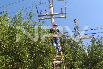 Seguridad Bahia de Banderas ·5368