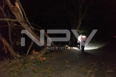 Seguridad Bahia de Banderas ·5486