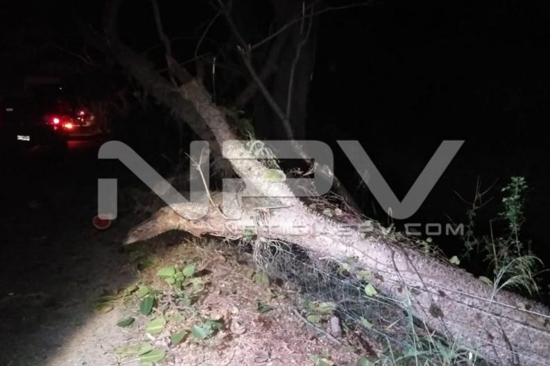 Seguridad Bahia de Banderas ·5487