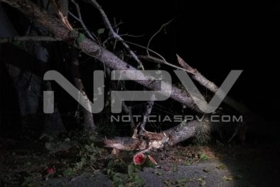 Seguridad Bahia de Banderas ·5488