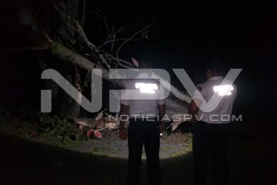 Seguridad Bahia de Banderas ·5490