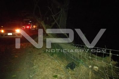 Seguridad Bahia de Banderas ·5495