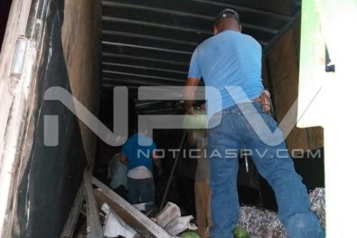Seguridad Bahia de Banderas ·5501