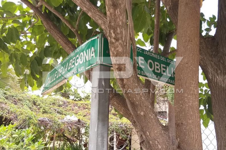 WhatsApp Image 2020-01-10 at 10.35.45 PM (2)