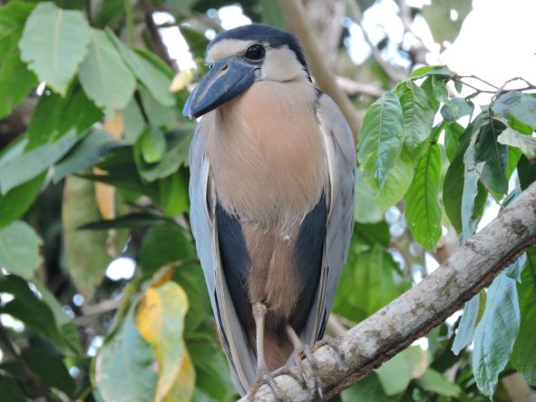 e536ed57-d832-4c5d-97c5-6dfce7113cb5