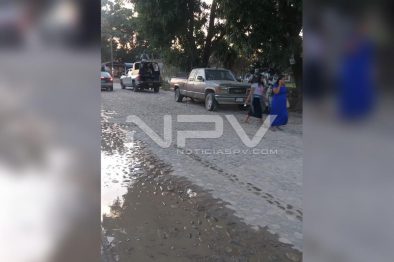 Seguridad Bahia de Banderas ·8899