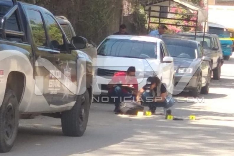 Seguridad Bahia de Banderas ·9167