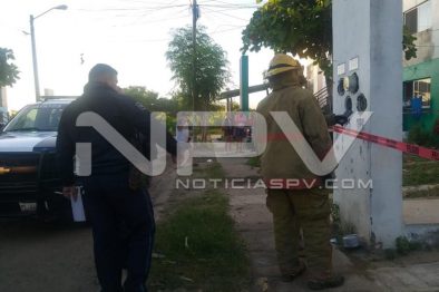 Seguridad Bahia de Banderas ·9568