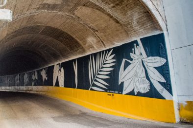 COMUNICADO 1324-IVC-Intervención mural-tunel chico (1)