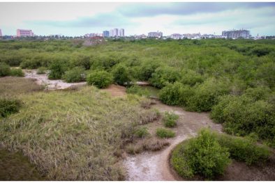 COMUNICADO 1341-Presentación resultados EIGC-paisaje sonoro estero (1)