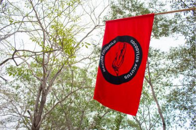 COMUNICADO 1341-Presentación resultados EIGC-paisaje sonoro estero (3)