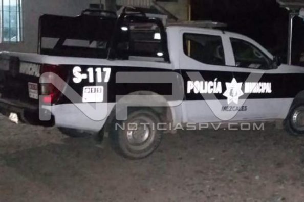 SEGURIDAD 1119