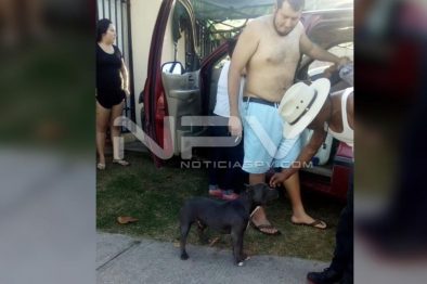 SEGURIDAD BAHIA 293