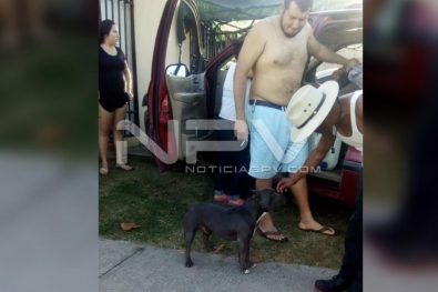 SEGURIDAD BAHIA 293