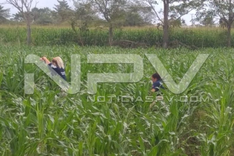 SEGURIDAD BAHIA 935