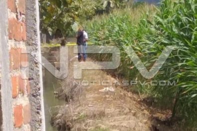 SEGURIDAD BAHIA 941