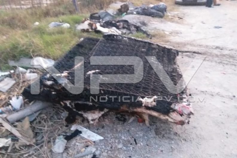 SEGURIDAD2229