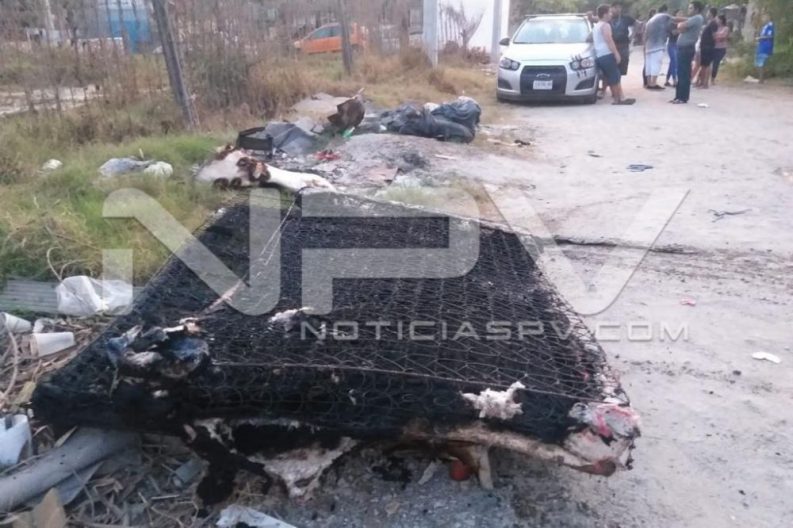 SEGURIDAD2232