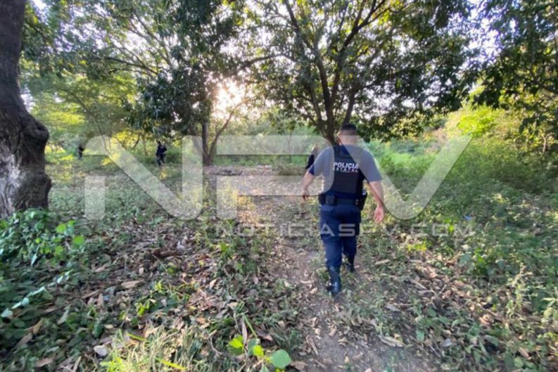 seguridad bahia 733