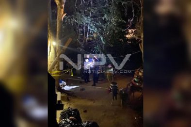 seguridad bahia 951