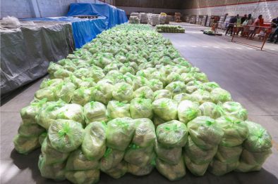 COMUNICADO 1422-Arranca segunda entrega apoyos-Es por Vallarta (4)