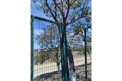 FOTO NOTA-17-04-20-Cierre unidades deportivas (3)