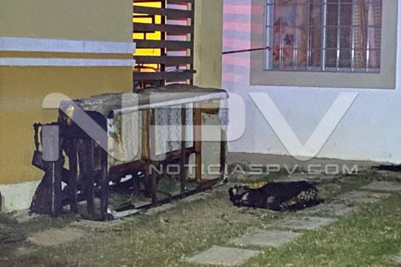 seguridad bahia 1834