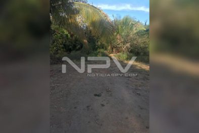 seguridad bahia 3209