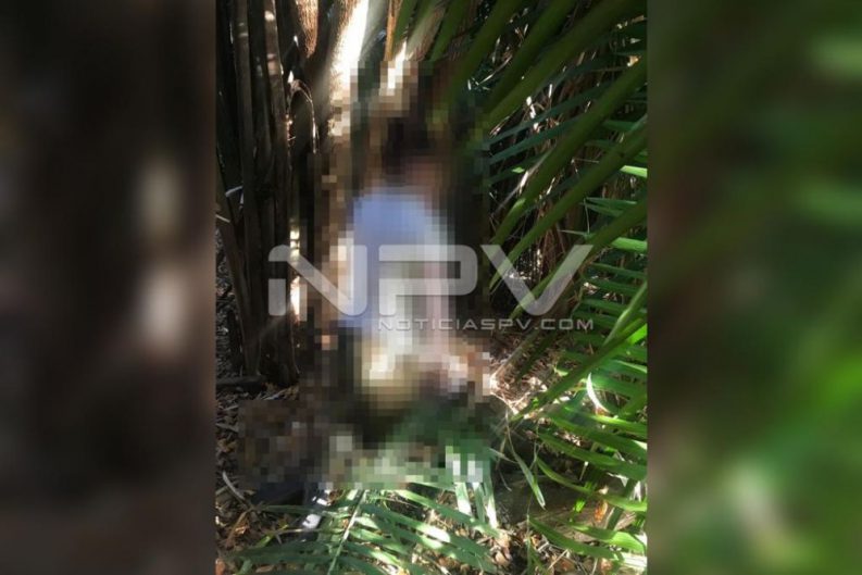 seguridad bahia 3211